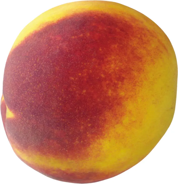 Fresh Nectarine with Red and Yellow Skin