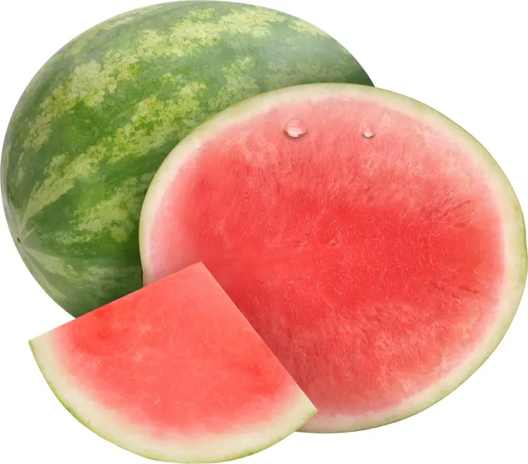 Green and Red Watermelon with Slices
