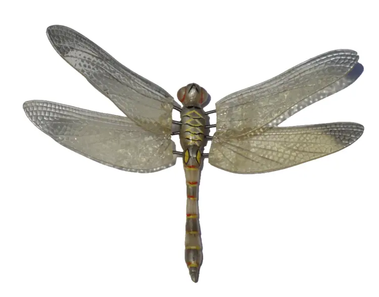 Dragonfly with Transparent Wings