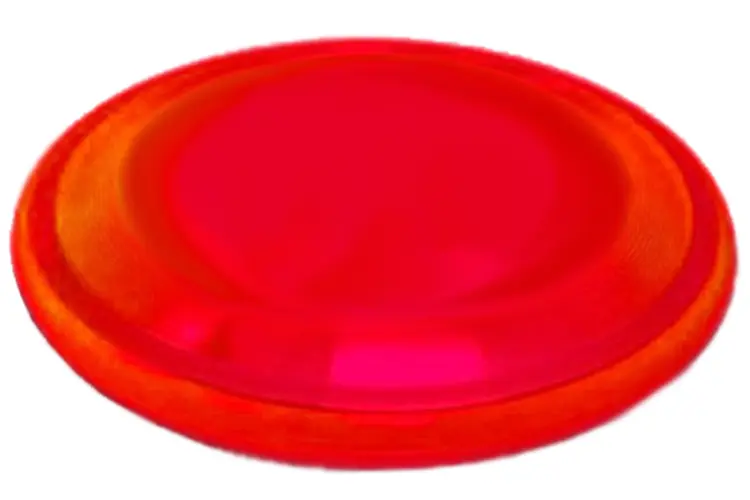 Red Frisbee for Active Play