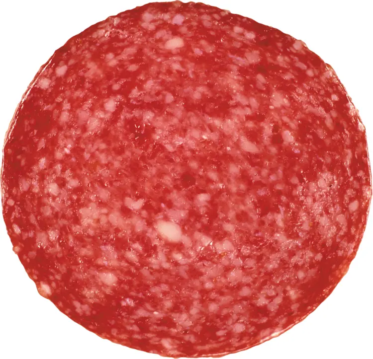 Single Slice of Salami