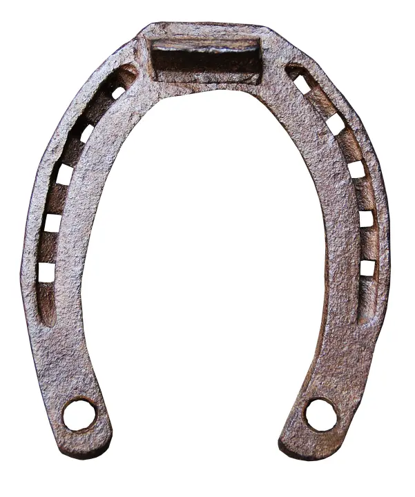 Rusty Horseshoe for Good Luck