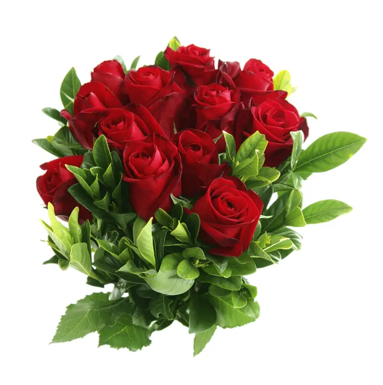 Bouquet of Red Roses
