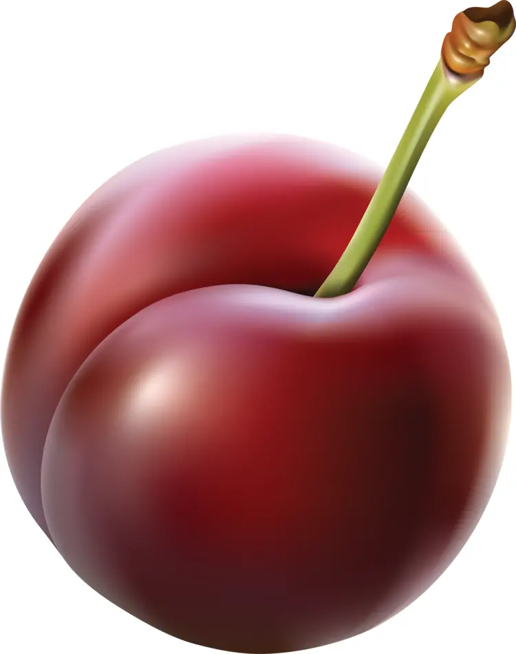 Juicy Red Plum
