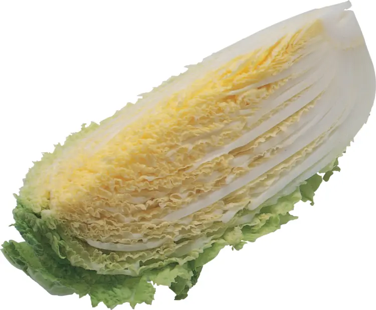 Sliced Napa Cabbage