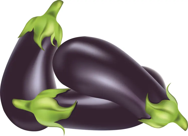 Two Purple Eggplants with Green Stems