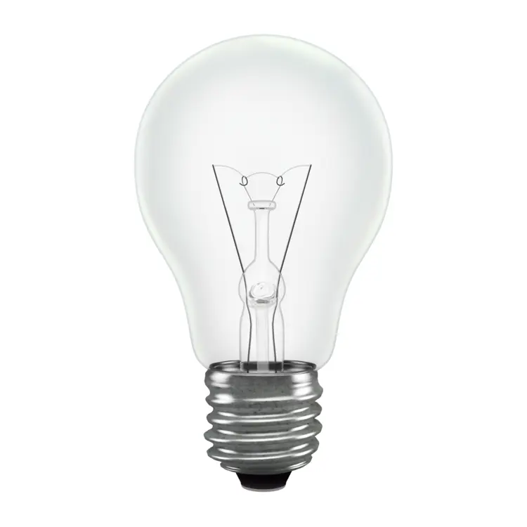 Clear Glass Light Bulb