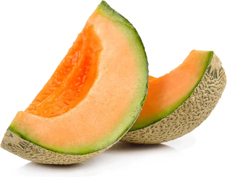 Orange Melon Slices with Green Rind
