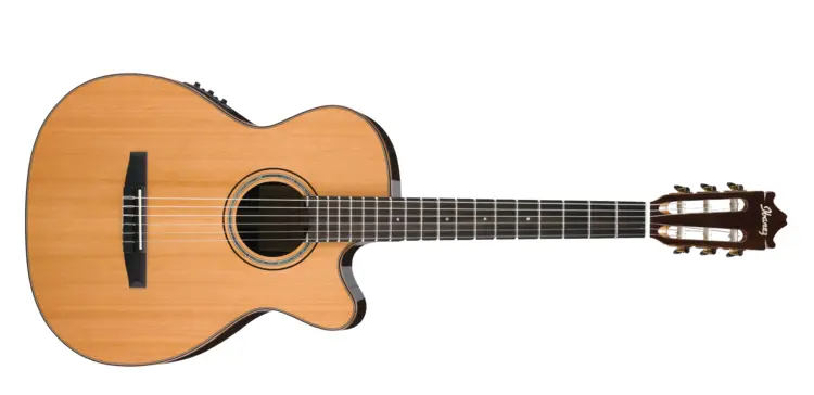 Cutaway Acoustic Guitar
