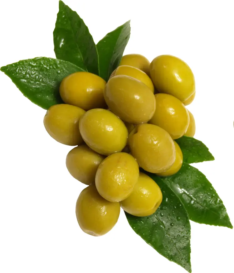 Fresh Green Olives with Leaves