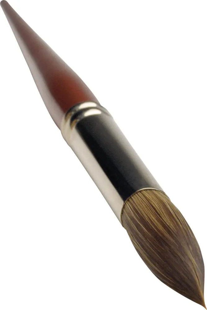 Single Paint Brush for Artistic Use
