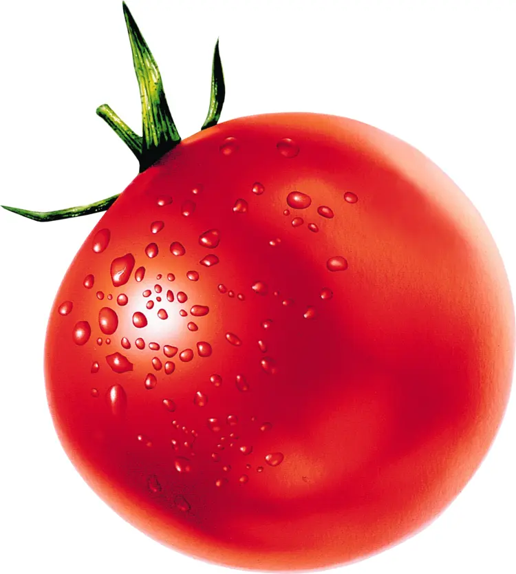 Red Fresh Tomato