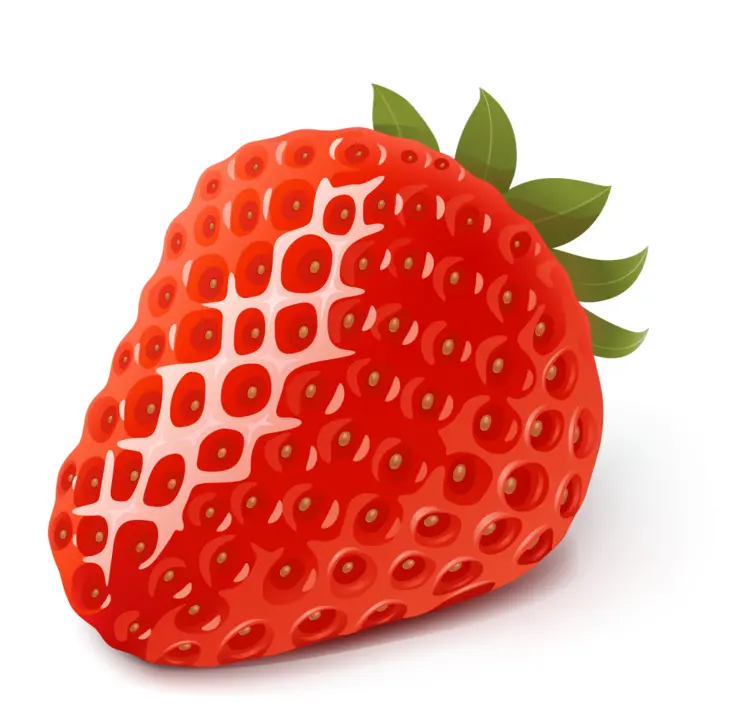 Fresh Red Strawberry