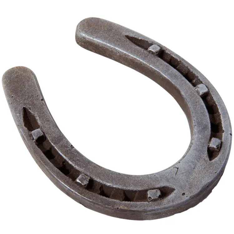 Metal Horseshoe for Horse Protection