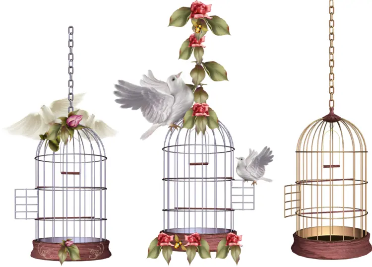 Decorative Birdcages with Doves and Flowers