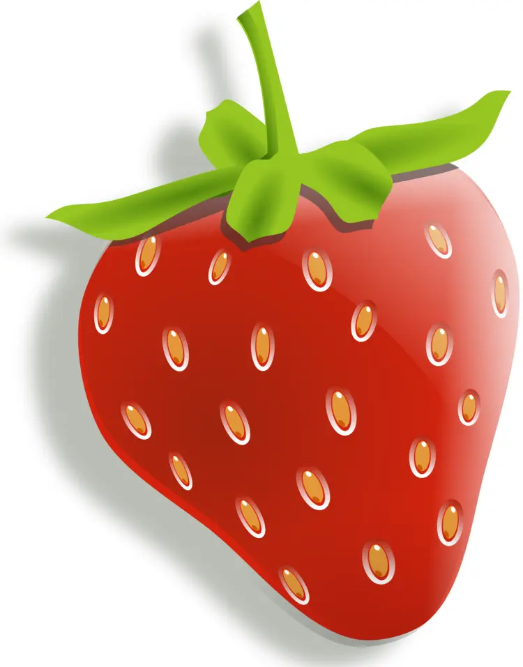 Red Strawberry with Green Stem
