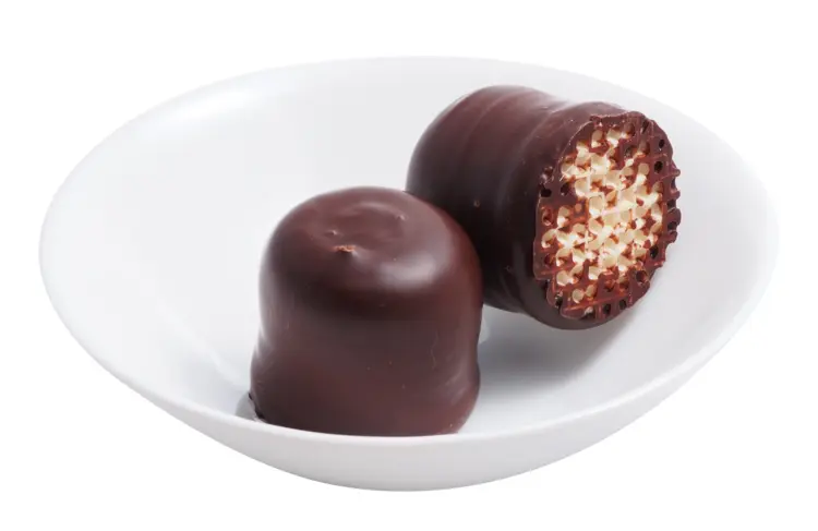 Chocolate Covered Marshmallow
