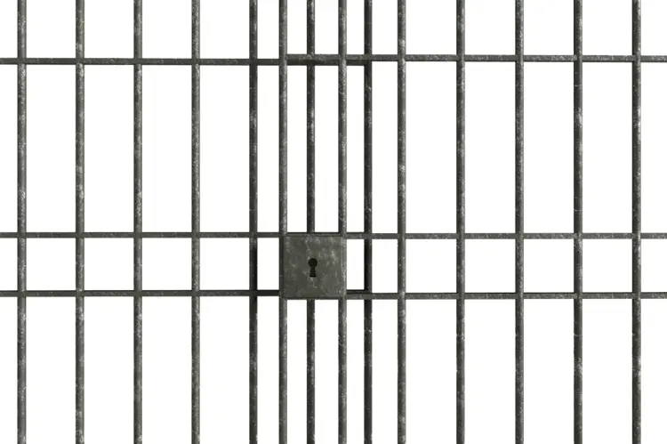 Metal Jail Bars