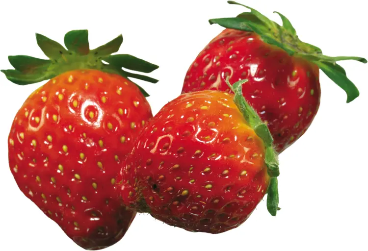 Three Fresh Strawberries