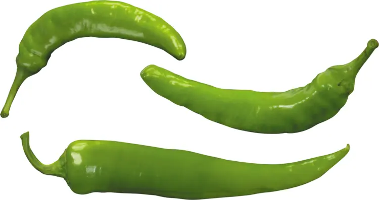 Spicy Green Chili Peppers