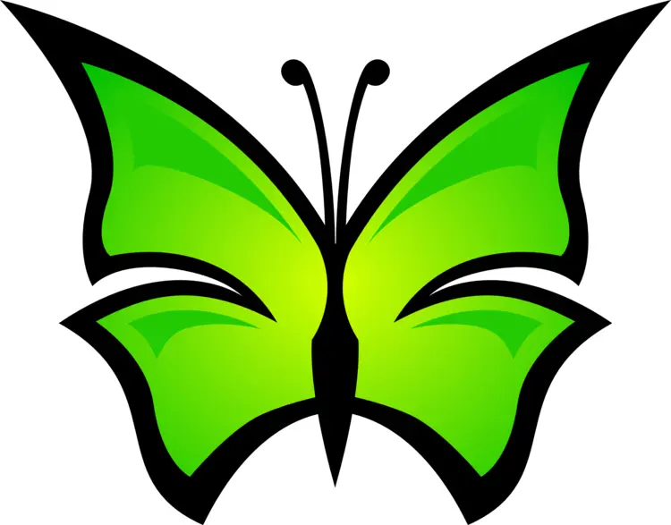 Green Butterfly Illustration