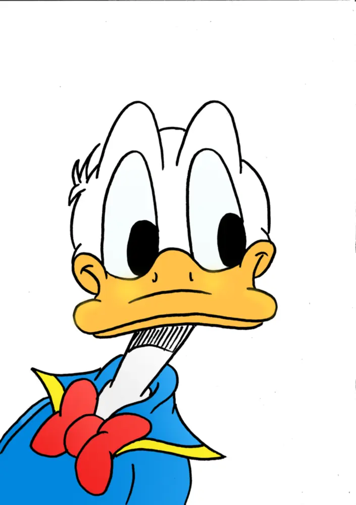 Funny Cartoon Duck