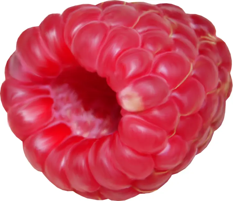 Juicy Red Raspberry