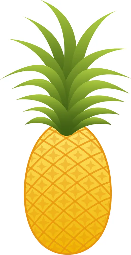 Tropical Pineapple with Green Leaves