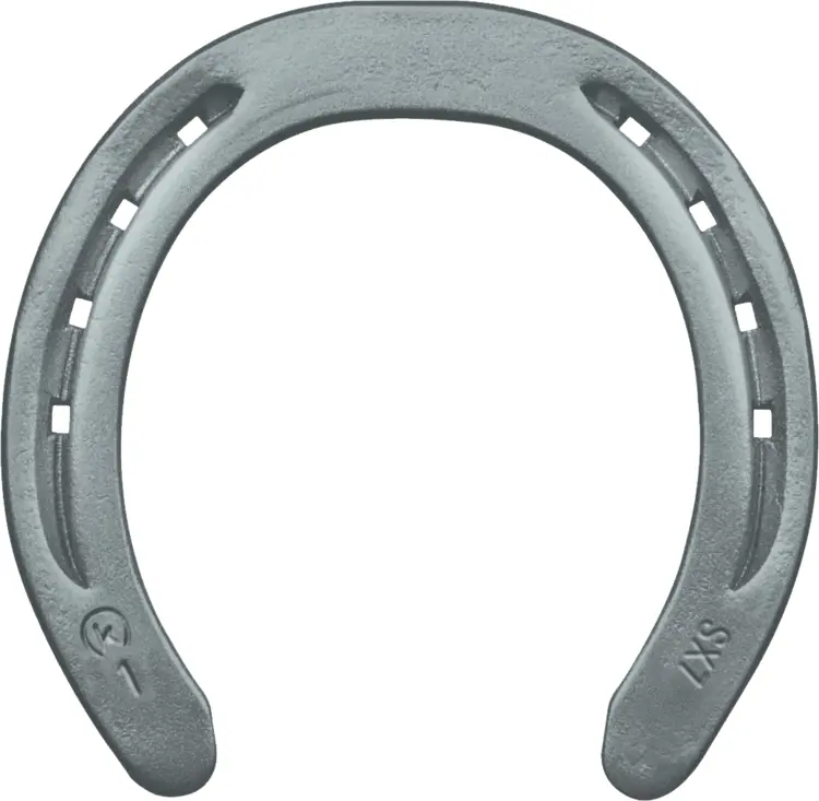 Metal Horseshoe