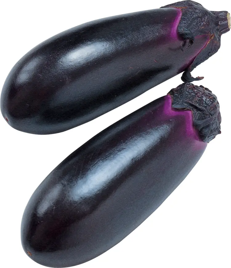 Two Purple Eggplants