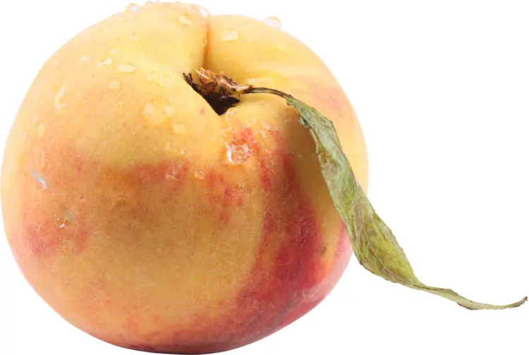 Peach with Water Droplets Fruit