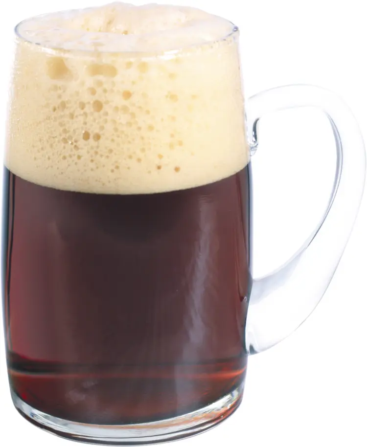 Foamy Dark Beer in Mug
