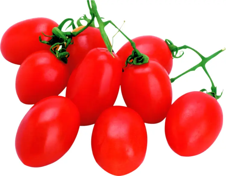 Cluster of Red Tomatoes