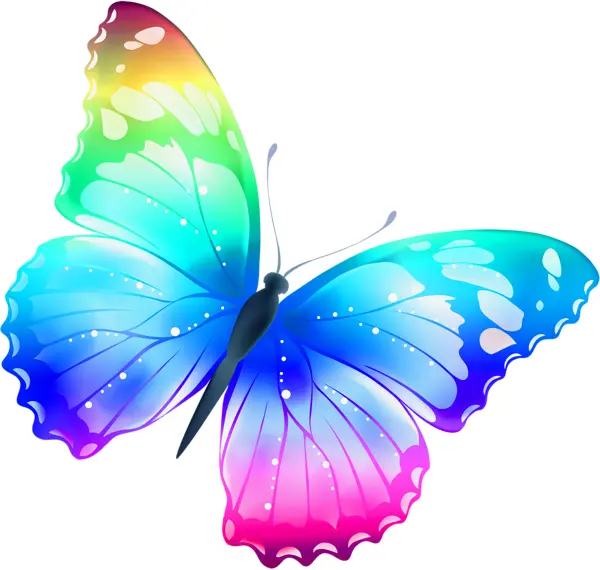 Colorful Butterfly with Rainbow Wings