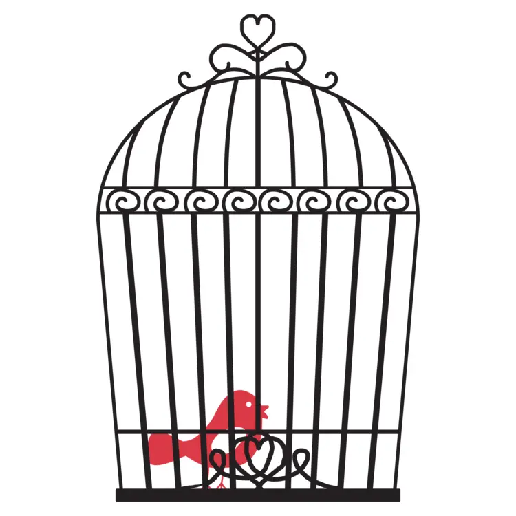 Red Bird in Heart-Decorated Cage