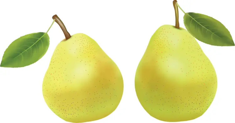 Fresh Yellow Pears with Green Leaves