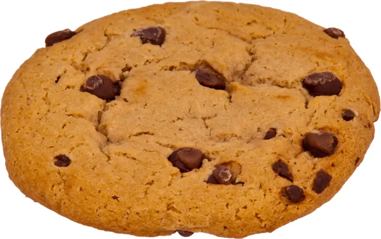 Single Chocolate Chip Cookie