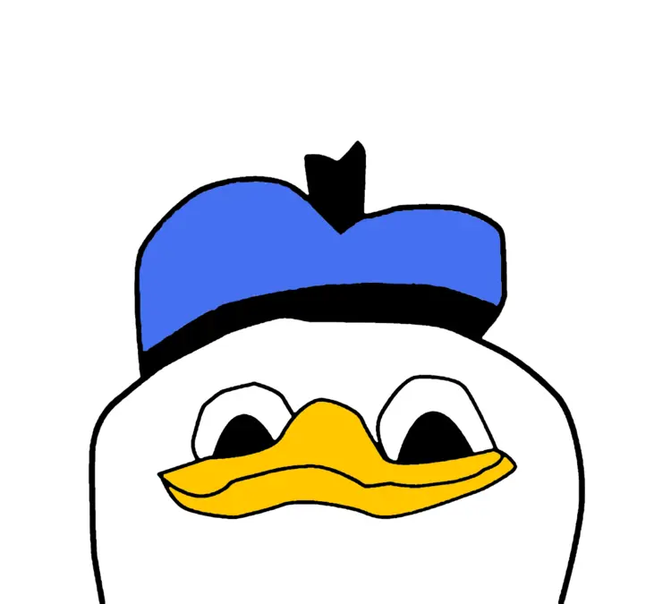 Funny Duck Face with Blue Hat