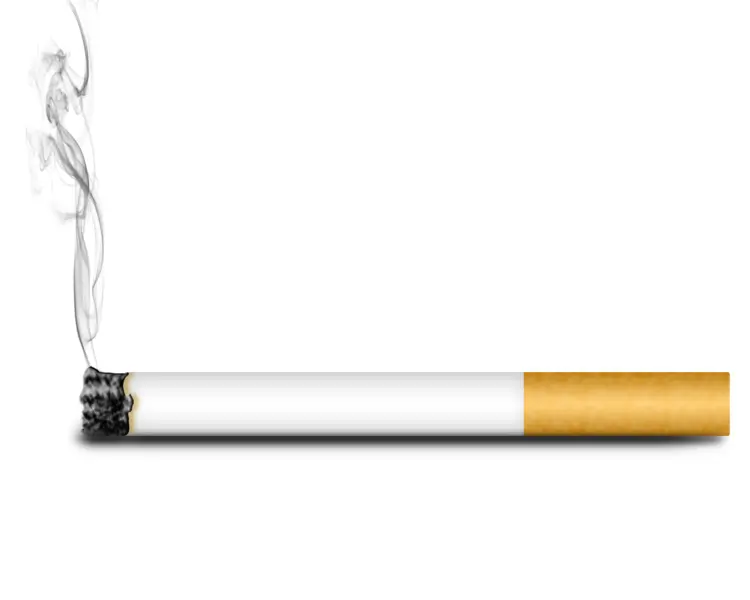 Burning Cigarette with Smoke