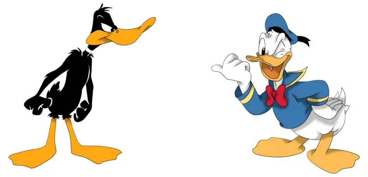 Two Ducks Facing Each Other