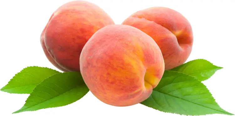 Peach with Leaves Fruit