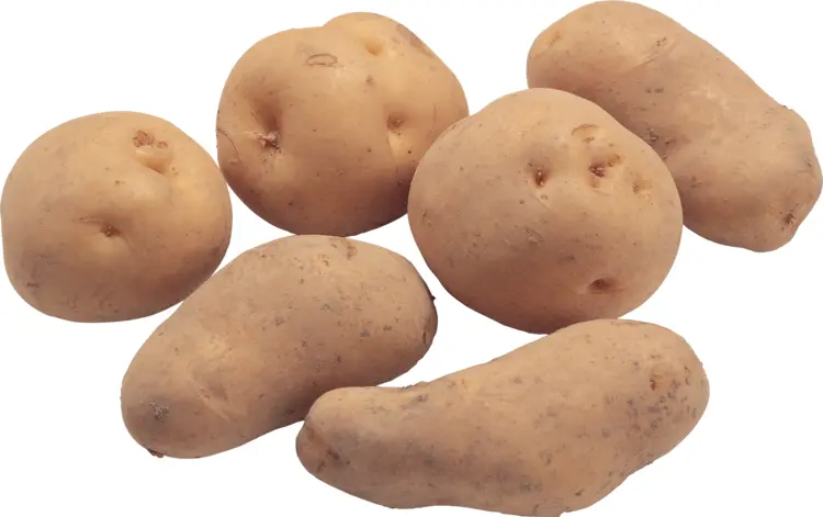 Fresh Potatoes for Cooking