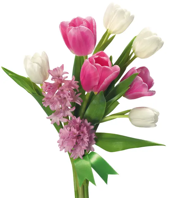Lovely Pink and White Tulips Bouquet