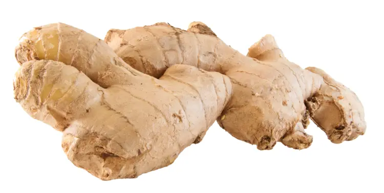 Healthy Ginger Root for Recipes