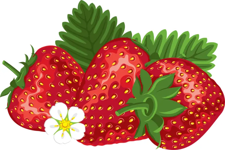 Fresh Red Strawberries with Leaves