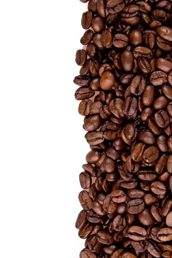 Roasted Coffee Beans
