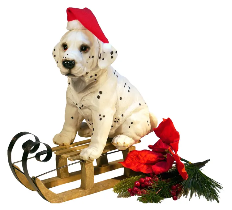 Dalmatian Puppy on a Christmas Sled