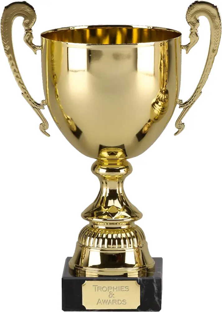 Golden Trophy for Excellence