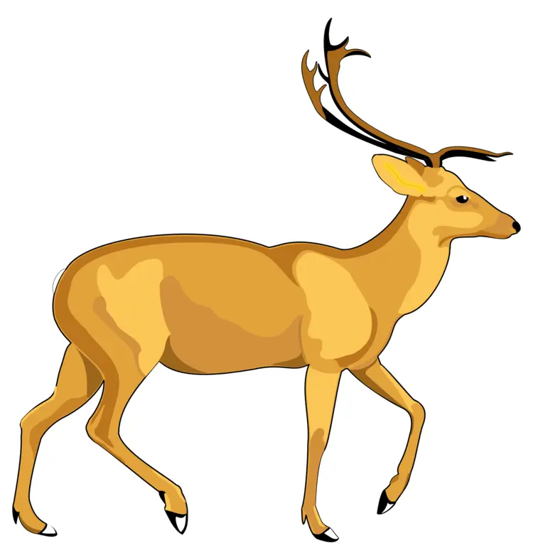 Graceful Deer in the Wild