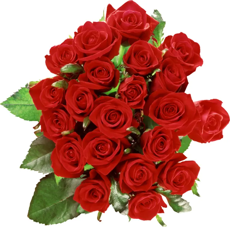 Beautiful Bouquet of Red Roses